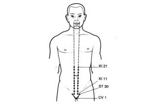 "Acupuncture in Clinical Practice. Pág:108" 